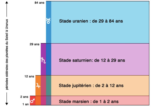 Les stades planétaires de 1 à 84 ans Les stades planétaires de 1 à 84 ans